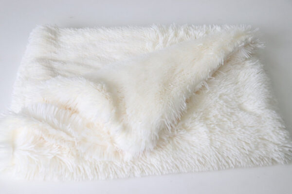 Plush pet mat double pet blanket - Image 7