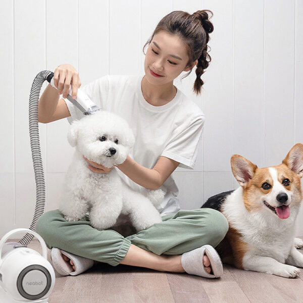 Pet Grooming Device Comb Shaving Hair Grooming In One P1 Beauty Pet - Image 7