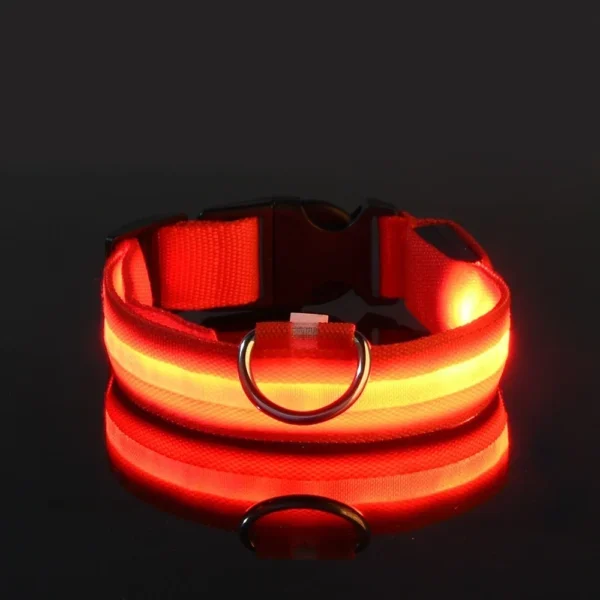 Dog Collar Nylon LED Night Safety Flashing Glow In The Dark Pet Dog Leash pet Dogs Luminous Fluorescent dog accessories collar - Image 4