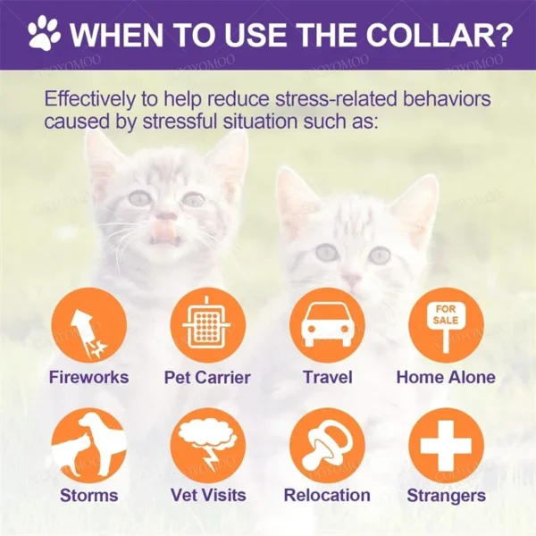 New Release Dog Calming Pheromone Collar cat Relieve Anxiety Adjustable Comfortable Collar For Puppy Kitten Large Dog Accessorie - Image 3