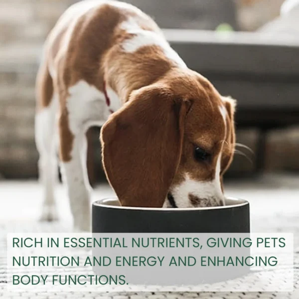 Pet Health Supplements Multi Vitamin Enhance Physical Fitness Protect Dogs Cats Stomach Oral Care Bad Breath Removal Pet Drops - Image 4