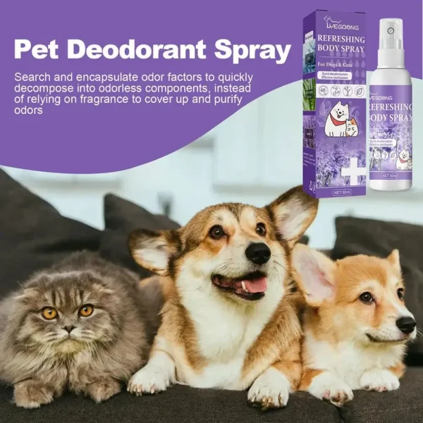 Deodorizing Perfume Remove Odor 50ml Lavender Oil Dog Deodorizer Spray Feces Cleaning Deodorant Pet Supplies for Dogs Cats - Image 4