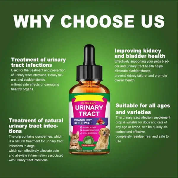 New 60ml Pet UTI Treatments Powerful Cat Bladder Drops For Urinary Tract Care Multifunction Cranberry Dog Cat UTI Pet supplies - Image 3
