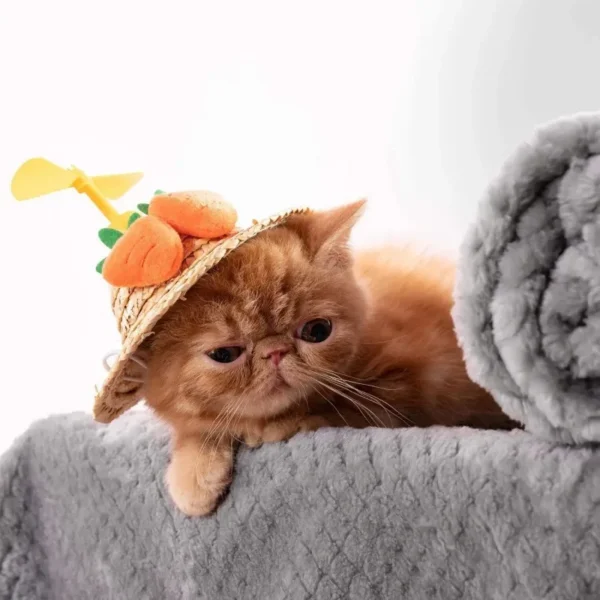 Warm Soft Fuzzy Blankets for Puppy Small Medium Large Dogs Fleece Kitten Cats Plush Throws for Bed Couch Sofa Blanket Supply - Image 4