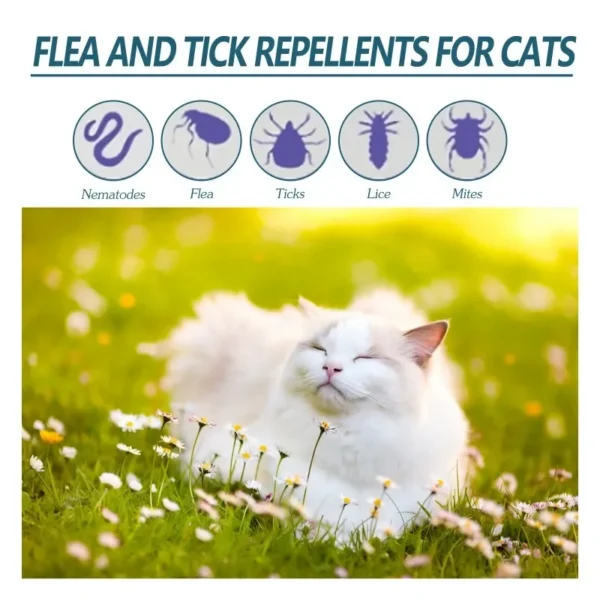 50ml Pet Anti Flea Tick Agent for Cats, Dogs, and Dogs. Extracorporeal Deworming Skin Cleaning Agent for Lice, Ticks, and Ticks - Image 2