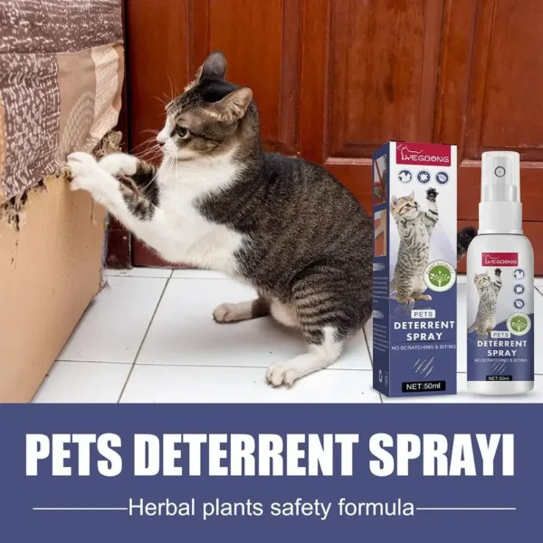 Cat Deterrent Spray Natural Scratching Cats Anti Scratch Spray No Stimulation Orange Fragrance Sofa Furniture Protectors - Image 2