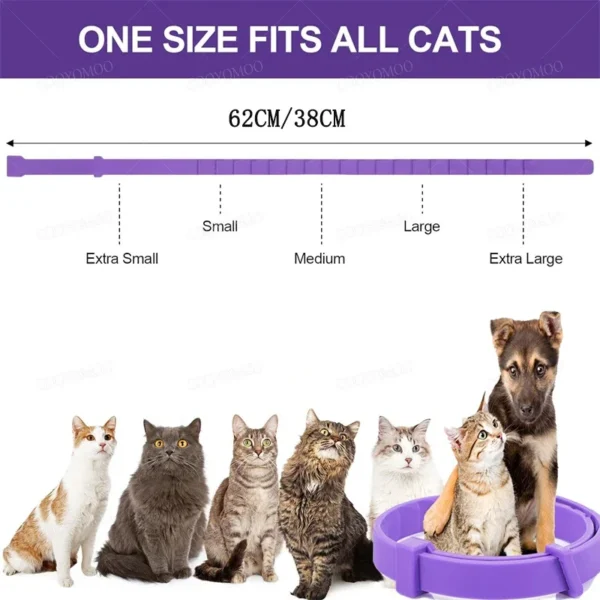 New Release Dog Calming Pheromone Collar cat Relieve Anxiety Adjustable Comfortable Collar For Puppy Kitten Large Dog Accessorie - Image 5