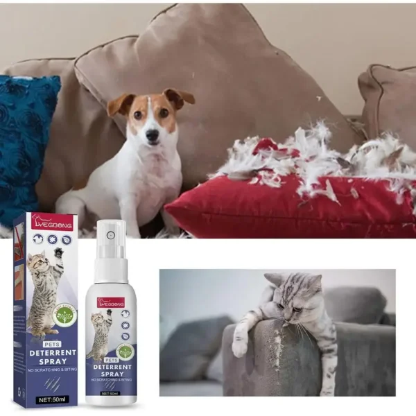 Cat Deterrent Spray Natural Scratching Cats Anti Scratch Spray No Stimulation Orange Fragrance Sofa Furniture Protectors - Image 5