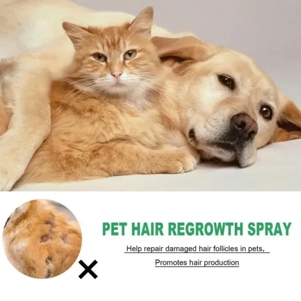30ml Cat Detangler Spray for Matted Hair Pet Hair Regrowth Spray Cats Comforting Soothing Hair Conditioner Spray Pet Supplies - Image 3