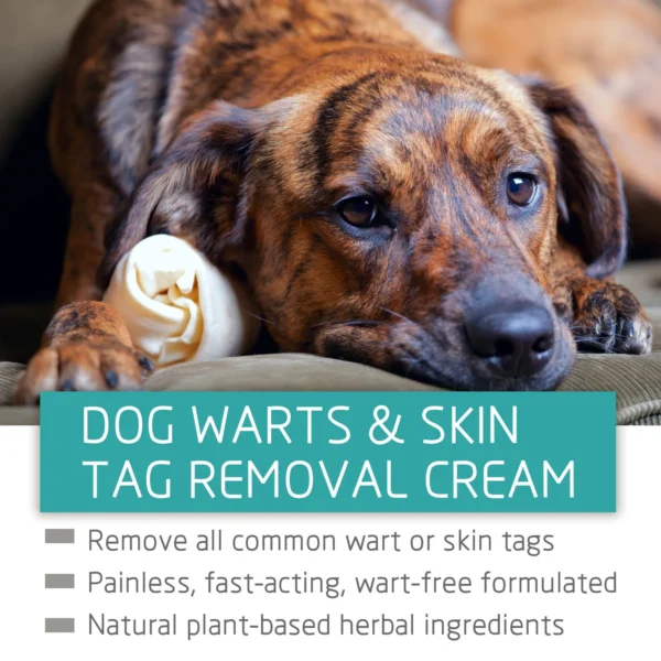 Dog Wart Remover Pet Skin Tag Wart Removal Painless Treatment Against Mole Remove Skin Fleshy Flat Liquid Pet Skin Care Liquid - Image 5