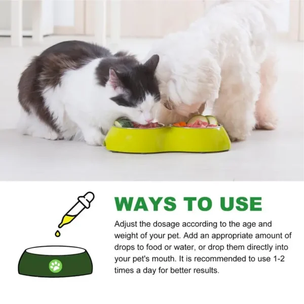 New 60ml Pet UTI Treatments Powerful Cat Bladder Drops For Urinary Tract Care Multifunction Cranberry Dog Cat UTI Pet supplies - Image 5