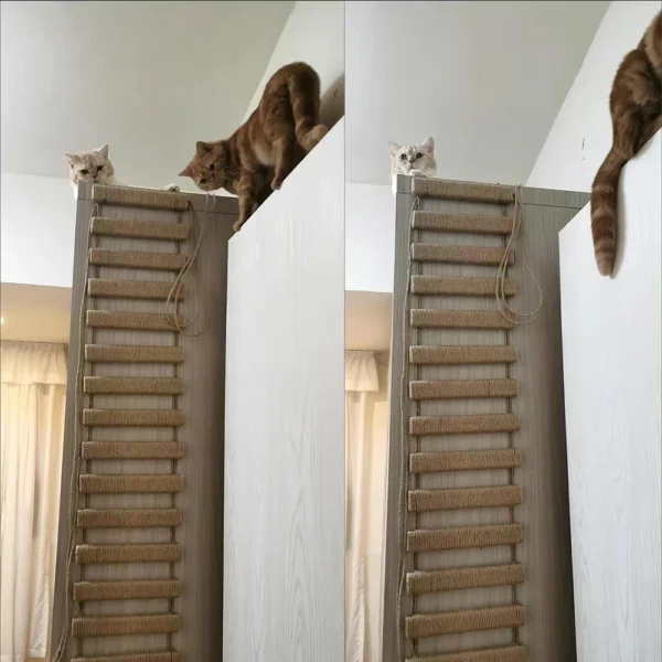 Cat Climbing Ladder Bridge for Cats Cage Sisal Wooden Rope Ladder Pet Furniture Kitten Climber Scratching Post Kitten Toys Tree - Image 3