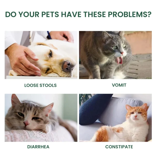 Pet Health Supplements Multi Vitamin Enhance Physical Fitness Protect Dogs Cats Stomach Oral Care Bad Breath Removal Pet Drops - Image 3