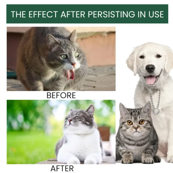 Pet Health Supplements Multi Vitamin Enhance Physical Fitness Protect Dogs Cats Stomach Oral Care Bad Breath Removal Pet Drops - Image 5