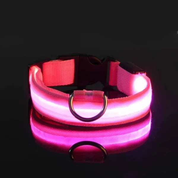Dog Collar Nylon LED Night Safety Flashing Glow In The Dark Pet Dog Leash pet Dogs Luminous Fluorescent dog accessories collar - Image 5