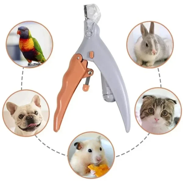 Professional Pet Nail Clipper Scissors With LED Light Cat Dog Nail Clippers Tool Scissors Nail Toeclaw Cutter Scissors Pet Suppl - Image 2