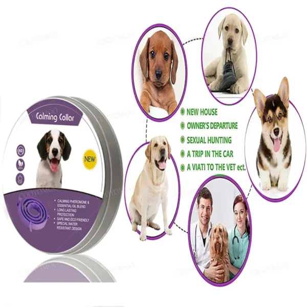 New Release Dog Calming Pheromone Collar cat Relieve Anxiety Adjustable Comfortable Collar For Puppy Kitten Large Dog Accessorie - Image 4