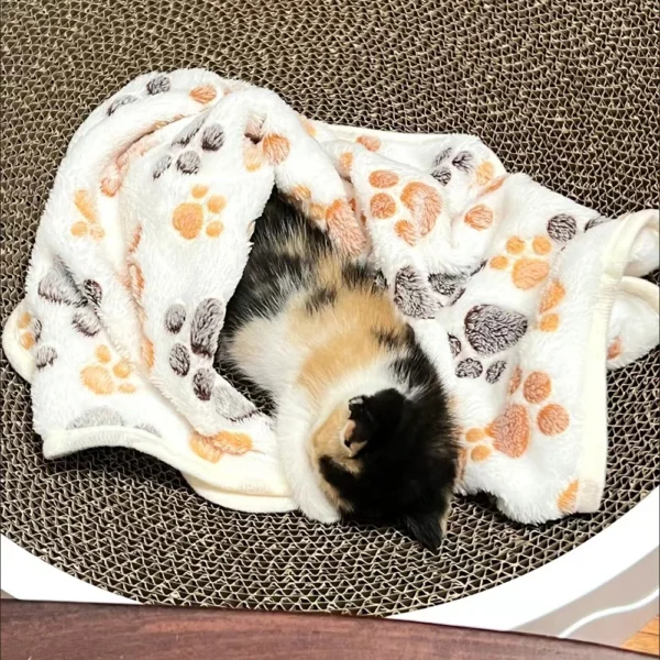 Warm Pet Cat Blanket Autumn Winter Cozy Thicken Fleece Kitten Footprint Bed Mat for Small Medium Big Cats Dog Chihuahua Supplies - Image 2