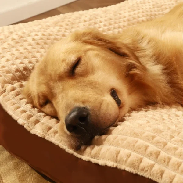 HOOPET Warm Dogs Sleeping Bed Soft Fleece Pet Blanket Detachable Cat Puppy Mat Cushion for Small Medium Large Dogs Pet Supplies - Image 4