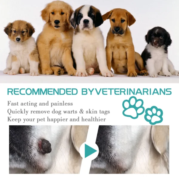 Dog Wart Remover Pet Skin Tag Wart Removal Painless Treatment Against Mole Remove Skin Fleshy Flat Liquid Pet Skin Care Liquid - Image 6