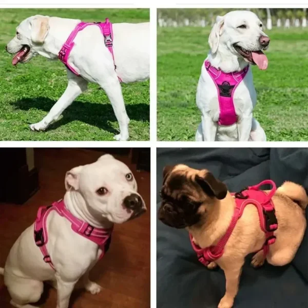 Reflective Adjustable Breathable Vest Chest Strap for Small Medium Large Dogs Pet Dog Harness Cat Puppy Collar Dog Accessoires - Image 4